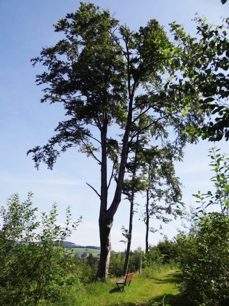 ausflugstippDSC00610