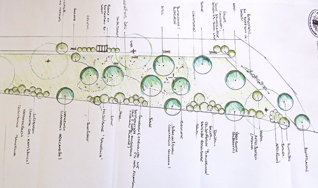 „Naschpark“ in Kirchberg geplant