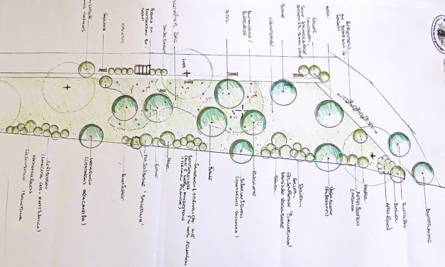 „Nasch­park“ in Kirch­berg geplant