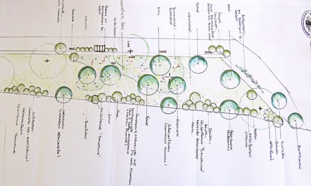 „Naschpark“ in Kirchberg geplant