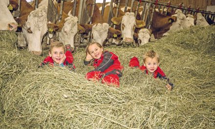 Zu Gast am 4‑Generationen Biohof