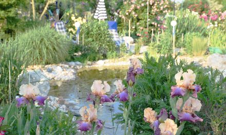 Aus­flugs­tipp: Gartenschautage