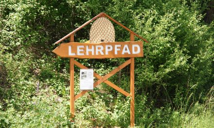 Kirch­schlags Imker laden zum Tag des offe­nen Bienenstocks