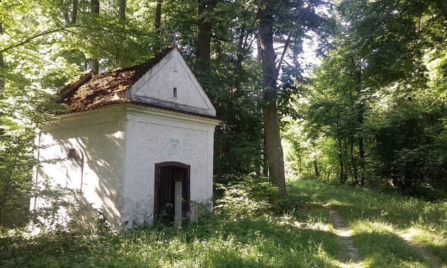 Wan­der­erleb­nis rund um den Helenenschacht