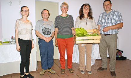 War­um wir Men­schen Bäu­me brauchen