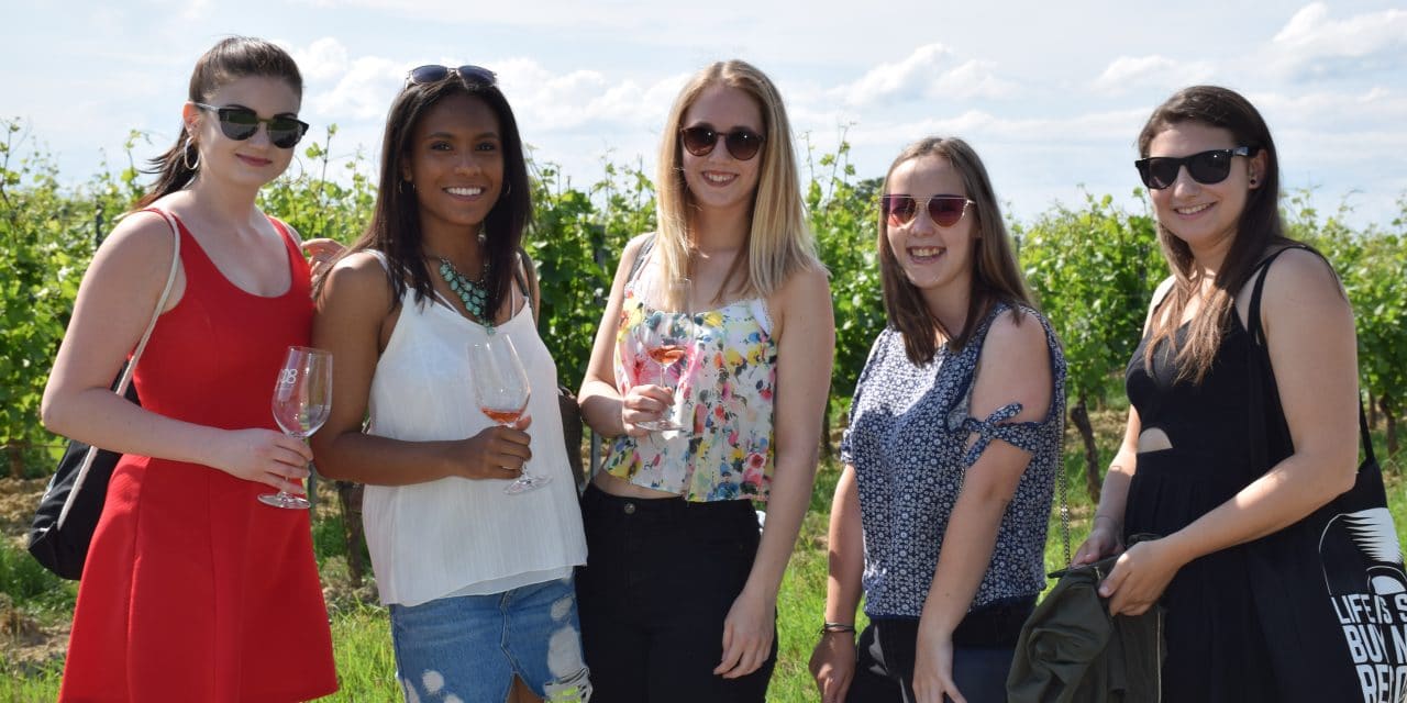 Kulinarisch wandern entlang der Weinblüte