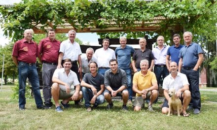Bur­gen­lands ältes­te Wein­bau­ge­mein­de: 800 Jah­re Lutz­manns­bur­ger Wein
