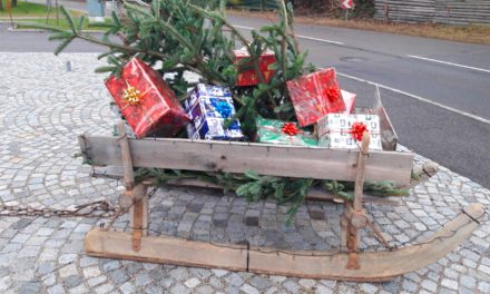Park soll wie­der Zen­trum werden