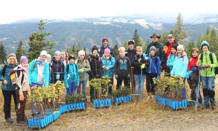Scheib­ling­kirch­ner Schü­ler fors­ten auf