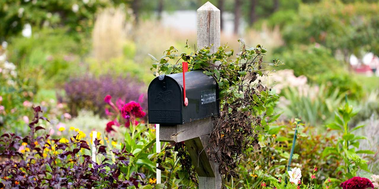 Start ins Gartenjahr