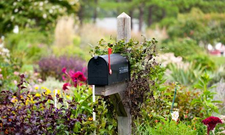 Son­ne – Som­mer – Gartenfreude!