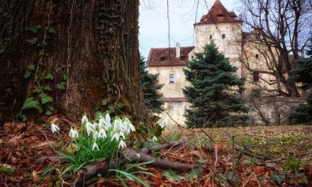 Eine Regi­on vol­ler Lieblingsplätze