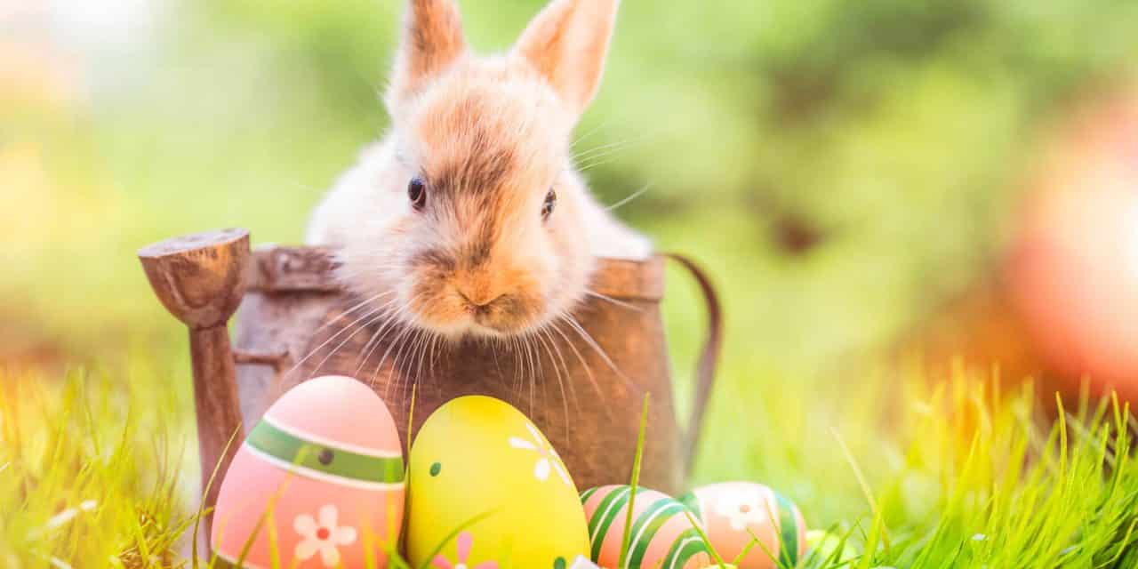 Was Sie über das Osterfest  wissen müssen