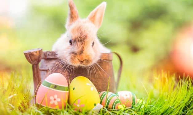 Was Sie über das Osterfest  wissen müssen