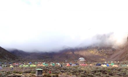 Afri­ka: Ber­g­er­leb­nis Kilimanjaro