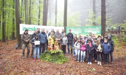 Wis­sen, Spaß und ganz viel Action im Wald