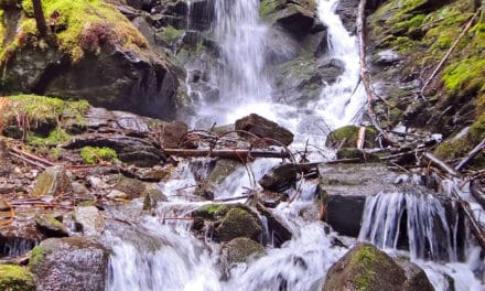 Aus­flugs­tipp: The­men­weg Wasser