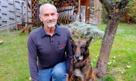 Part­ner mit der kal­ten Schnauze