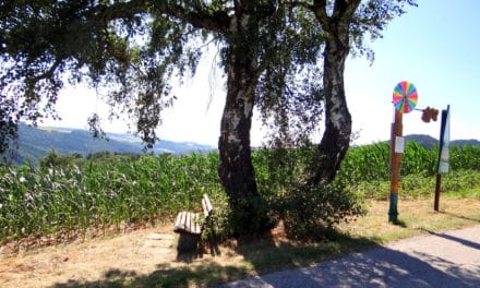 Aus­flugs­tipp: Wetterlehrpfad
