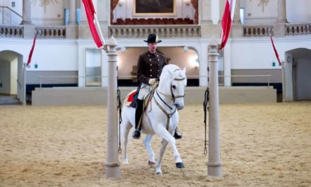 Die höchs­te Stu­fe der Reitkunst