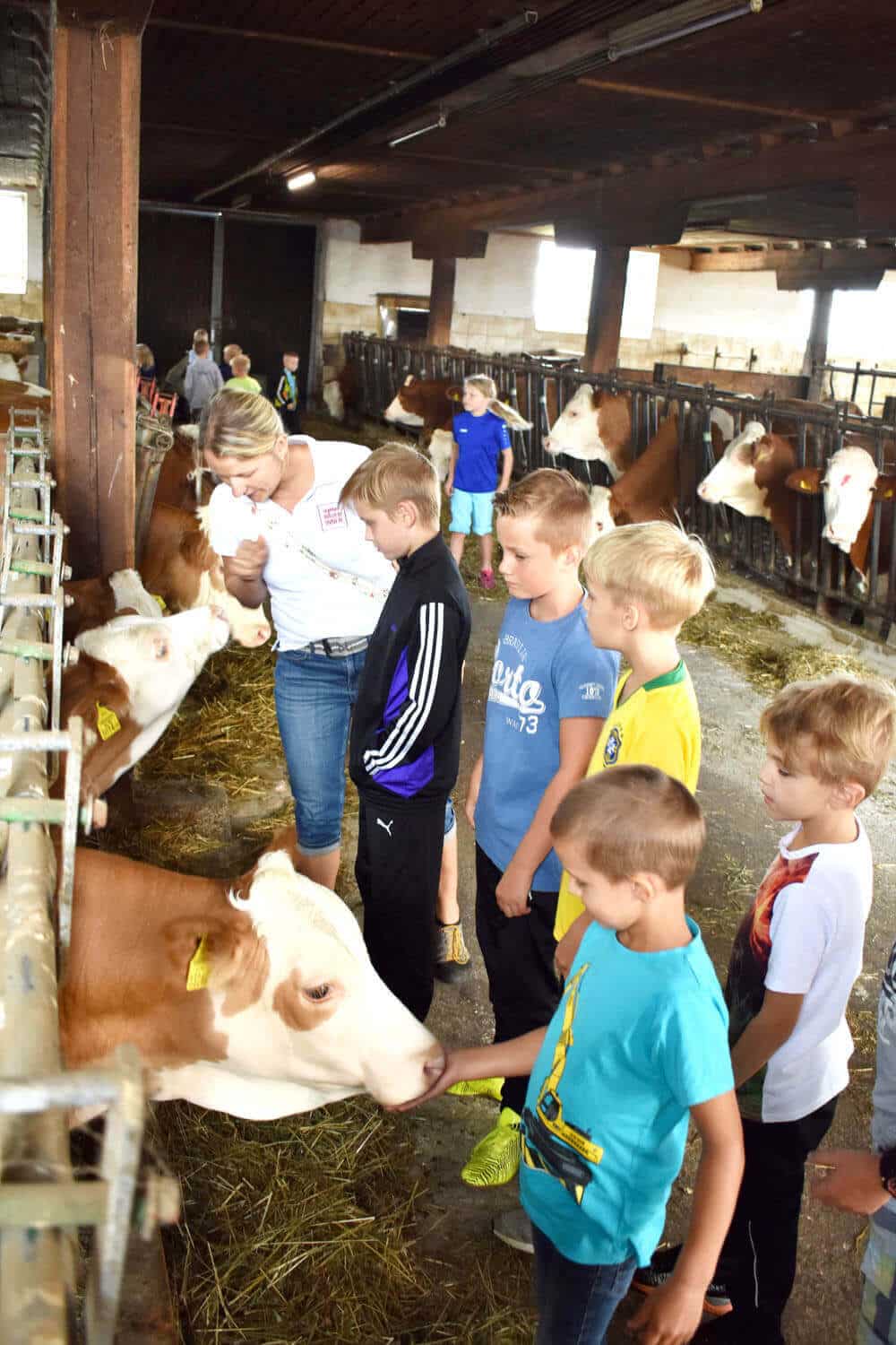Landwirtschaft als Erlebnis für Kinder – Bote aus der Buckligen Welt
