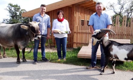 Käse­ma­cher als Quereinsteiger