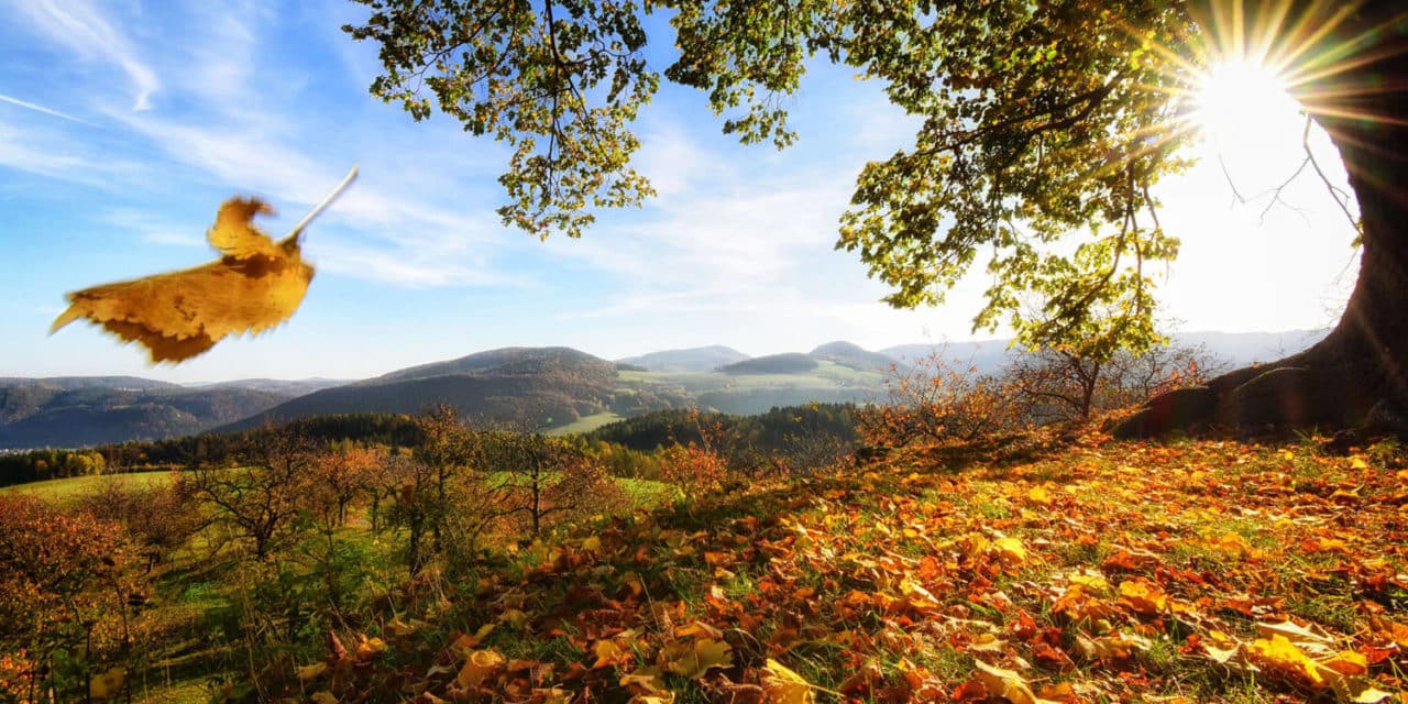 Eine Region voller Lieblingsplätze