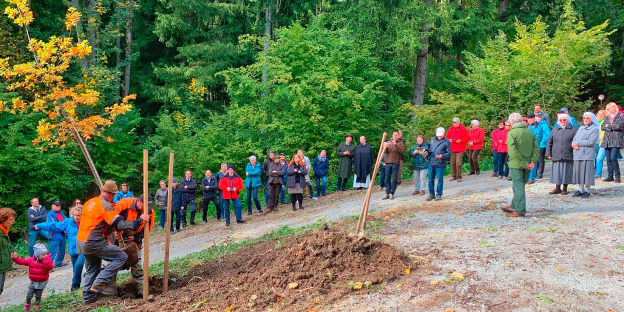 Klosterwald als letzte Ruhestätte