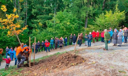 Klos­ter­wald als letz­te Ruhestätte