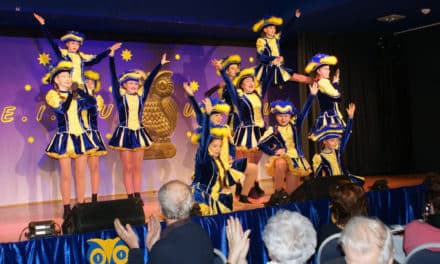 Eulen in Katzelsdorf
