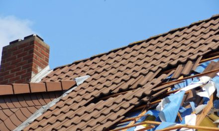 Sturm­scha­den –  was tun?