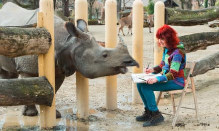 Der Zoo ist ihr schöns­tes Atelier