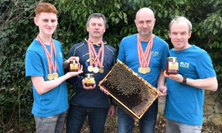 180 Bienen­völk­er erzeu­gen preis­gekrön­ten Honig