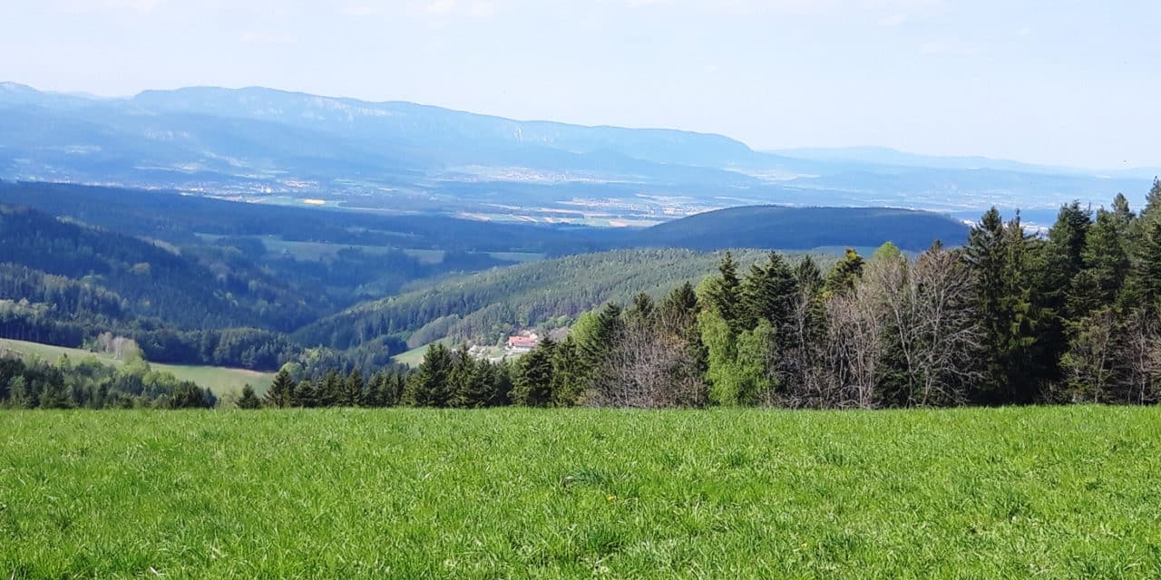 Aus­flugs­tipp: Hollabrunn/​Hochegg