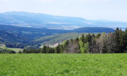 Aus­flugs­tipp: Hollabrunn/​Hochegg