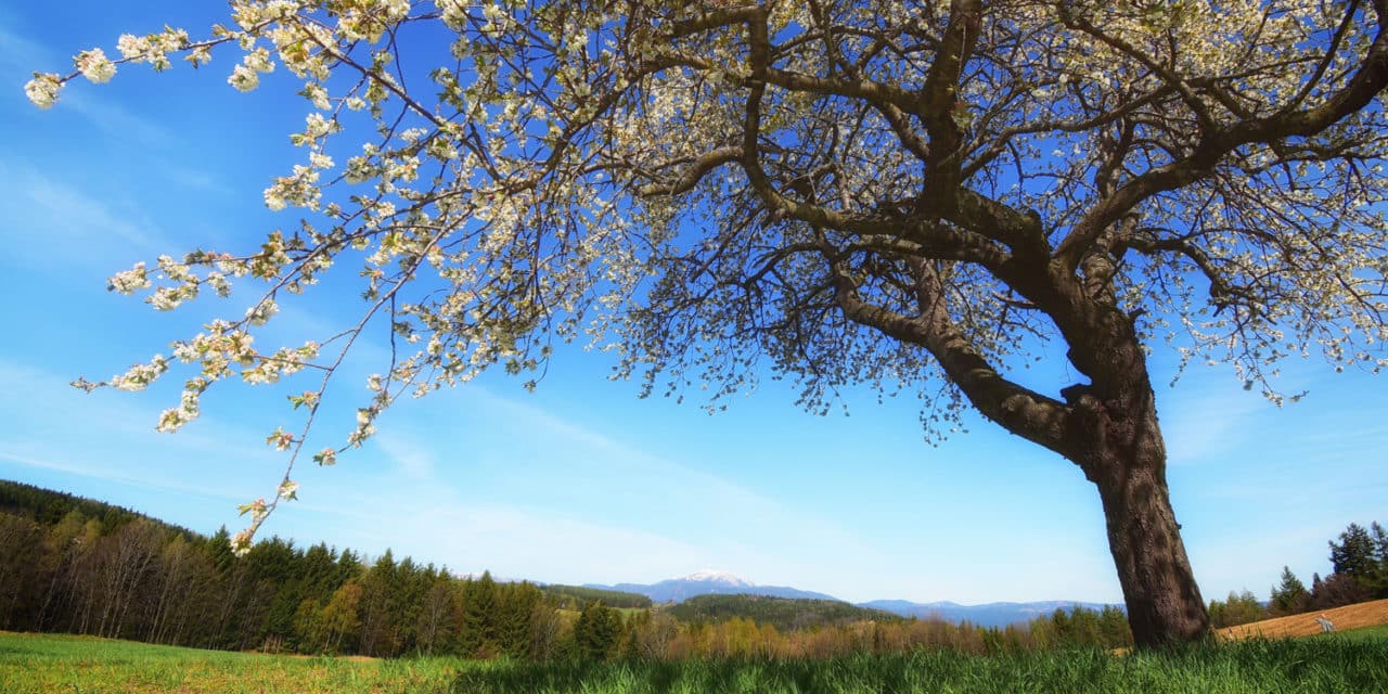 Eine Region voller Lieblingsplätze