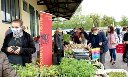 Lanzenkirchen: Pflanzen­markt
