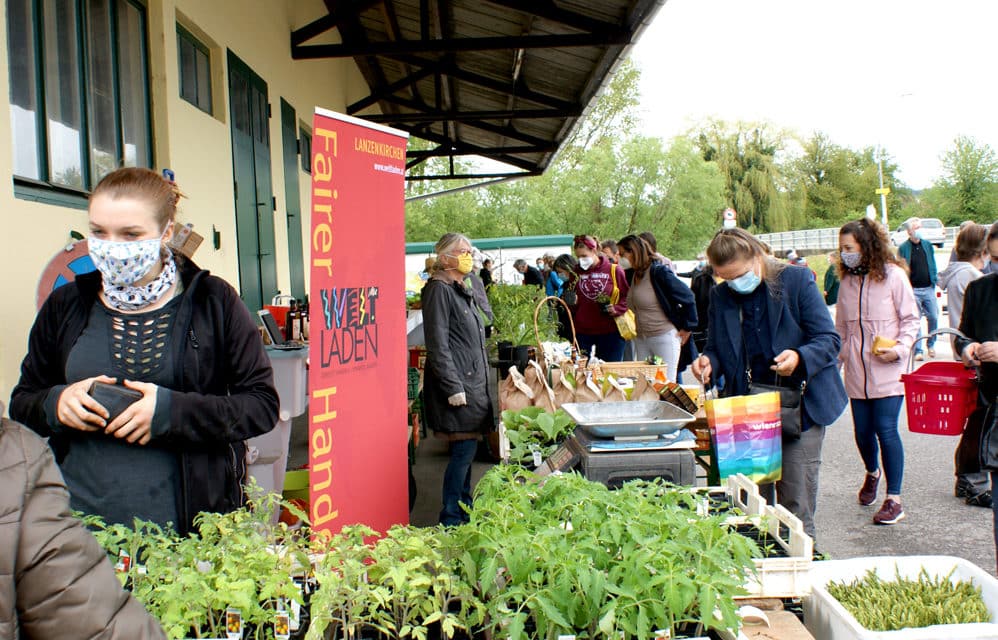 Lan­zen­kir­chen: Pflanzenmarkt