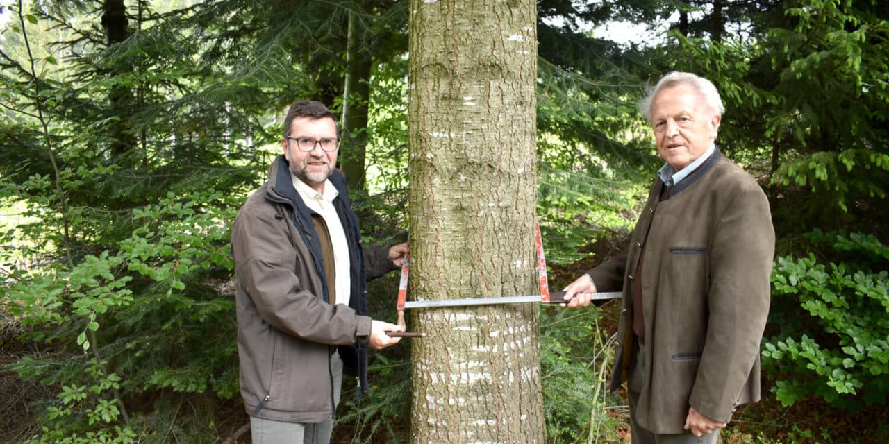 Nach­ge­mes­sen: Wald­wirt­schaft der Zukunft