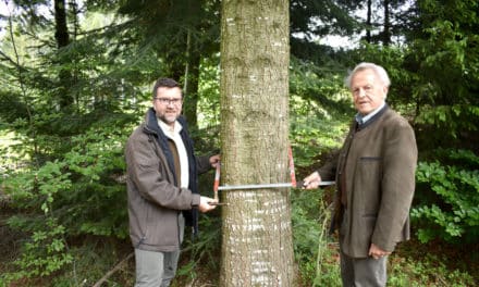 Nach­ge­mes­sen: Wald­wirt­schaft der Zukunft