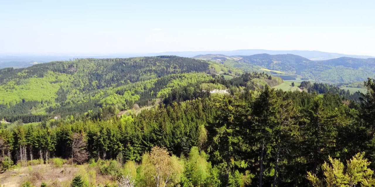 Aus­flugs­tipp: Hutwisch