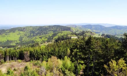 Aus­flugs­tipp: Hutwisch