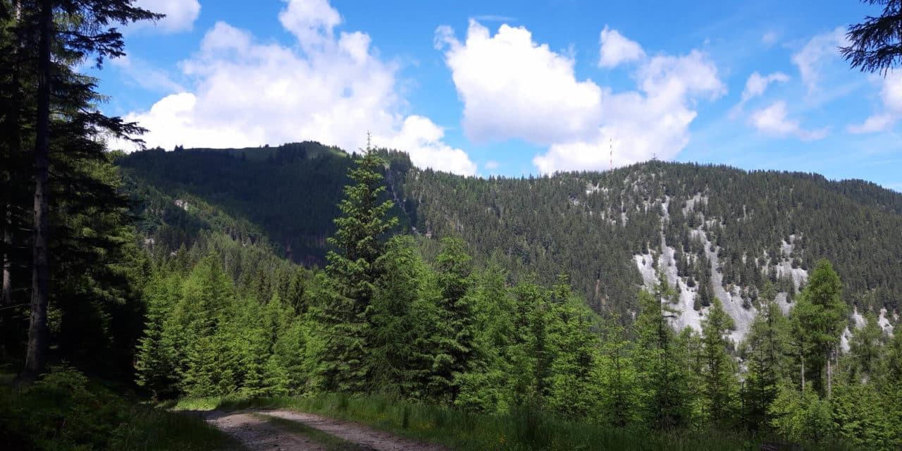 Ausflugstipp: Alpkogel Trattenbach