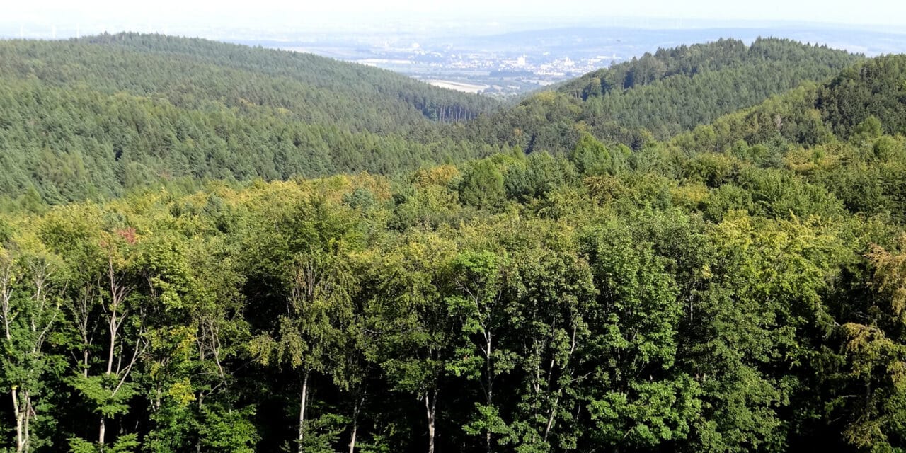 Excur­si­on tip: Bour­bon – Path & Lookout