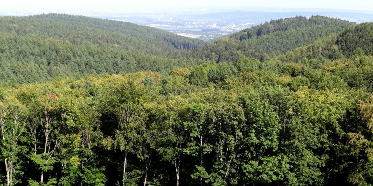 Ausflugstipp: Bourbonenweg samt Aussichtswarte