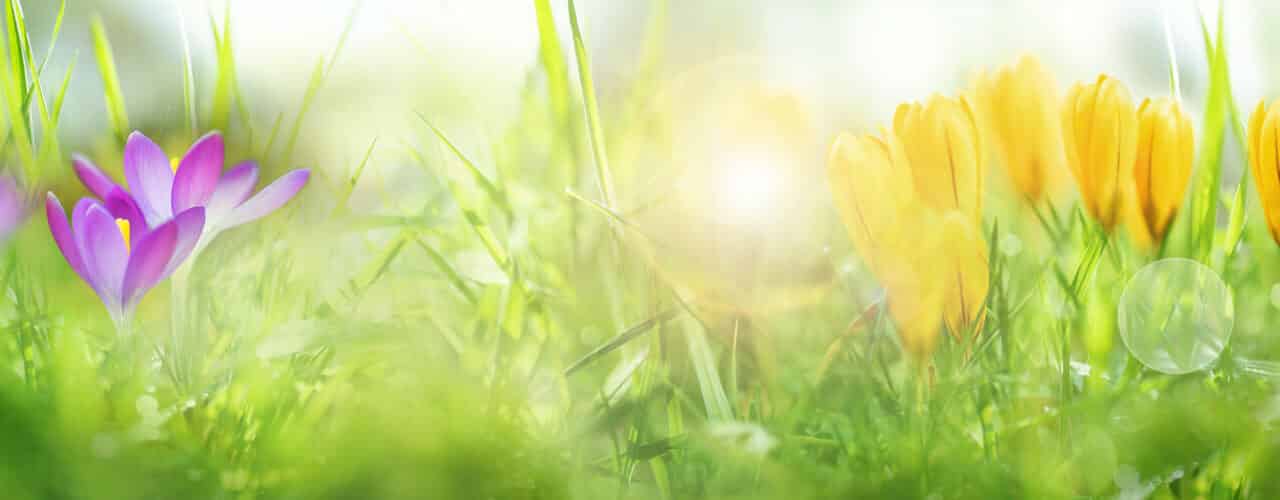 Der Früh­ling ist schon spürbar