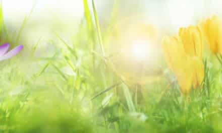 Der Früh­ling ist schon spürbar