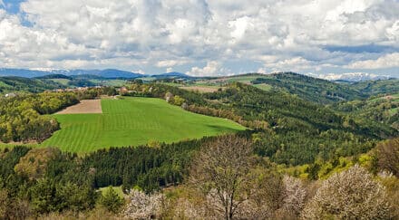 Regio­na­le Platt­form ver­netzt Unter­neh­mer und Kunden