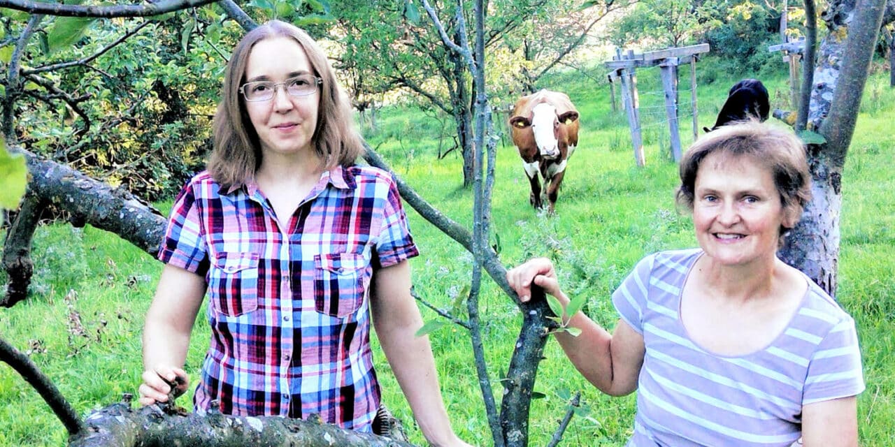 Gemüse aus solidarischer Landwirtschaft