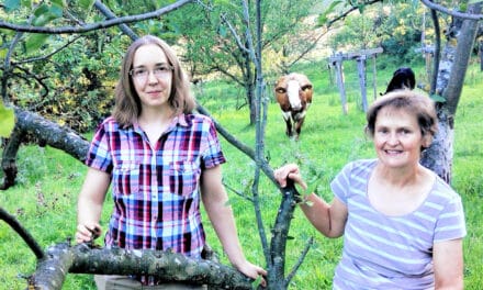 Gemü­se aus soli­da­ri­scher Landwirtschaft
